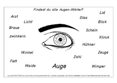 Augen-Wörter.pdf